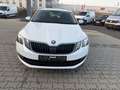 Skoda Octavia OCTAVIA COMBI AMBITION NAVI PDC SHZ Weiß - thumbnail 2
