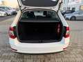 Skoda Octavia OCTAVIA COMBI AMBITION NAVI PDC SHZ Weiß - thumbnail 17