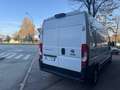 Fiat Ducato P-L COIBENTATO FRIGO NO ATP  MJT3 140CV E6D-FIN Bianco - thumbnail 7