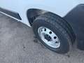 Fiat Ducato P-L COIBENTATO FRIGO NO ATP  MJT3 140CV E6D-FIN Bianco - thumbnail 11