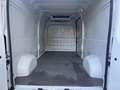 Fiat Ducato P-L COIBENTATO FRIGO NO ATP  MJT3 140CV E6D-FIN Bianco - thumbnail 13