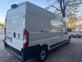 Fiat Ducato P-L COIBENTATO FRIGO NO ATP  MJT3 140CV E6D-FIN Bianco - thumbnail 6