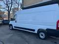 Fiat Ducato P-L COIBENTATO FRIGO NO ATP  MJT3 140CV E6D-FIN Bianco - thumbnail 10
