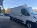 Fiat Ducato P-L COIBENTATO FRIGO NO ATP  MJT3 140CV E6D-FIN Bianco - thumbnail 5