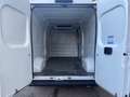 Fiat Ducato P-L COIBENTATO FRIGO NO ATP  MJT3 140CV E6D-FIN Bianco - thumbnail 12