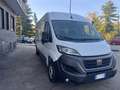 Fiat Ducato P-L COIBENTATO FRIGO NO ATP  MJT3 140CV E6D-FIN Bianco - thumbnail 3