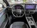 CUPRA Leon 2.0 TDI Intelligent-Dynamic-Edge-Pake Cam Schwarz - thumbnail 18