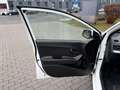 Kia Picanto PICANTO 1.0 SENSATION 5-TÜR KLIMA Blanc - thumbnail 9