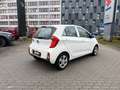 Kia Picanto PICANTO 1.0 SENSATION 5-TÜR KLIMA Blanc - thumbnail 5