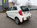 Kia Picanto PICANTO 1.0 SENSATION 5-TÜR KLIMA Blanc - thumbnail 7