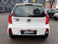 Kia Picanto PICANTO 1.0 SENSATION 5-TÜR KLIMA Blanc - thumbnail 6