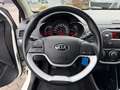 Kia Picanto PICANTO 1.0 SENSATION 5-TÜR KLIMA Blanc - thumbnail 13