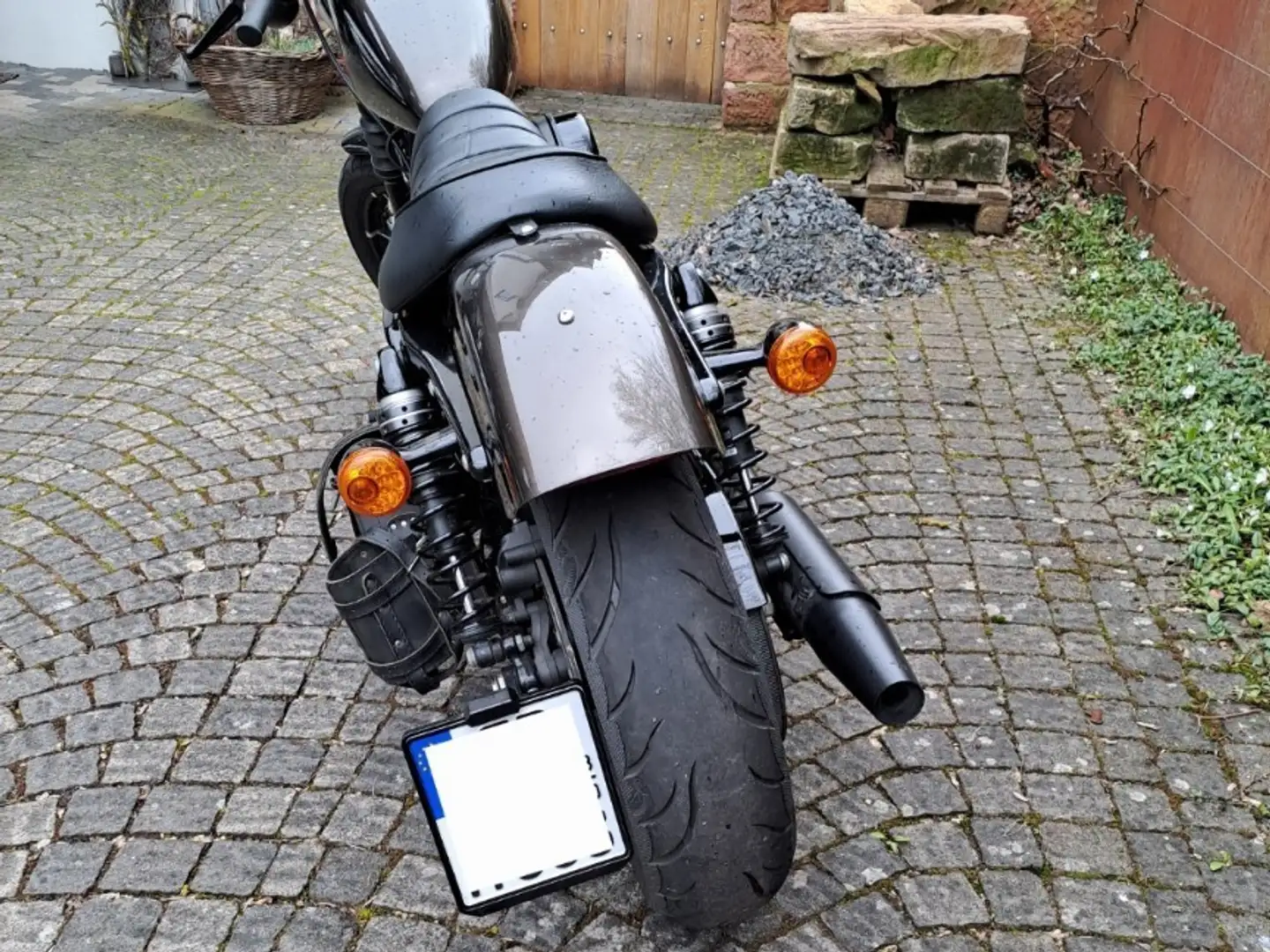 Harley-Davidson Iron 883 Braun - 2