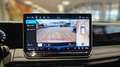 Volkswagen Tiguan 2.0 TSI R-Line 4Motion Aut. *Head-up*360°*AHK* Grau - thumbnail 21