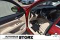 Alfa Romeo Stelvio Super Q4 |AHK|ACC|NAVI|KAMERA|MEMORY|ELEKTRISCHE-H - thumbnail 6