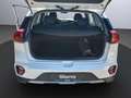 Kia Niro PHEV 1.6 GDI Plug-in Spirit El. Panodach e-Sitze K Weiß - thumbnail 16