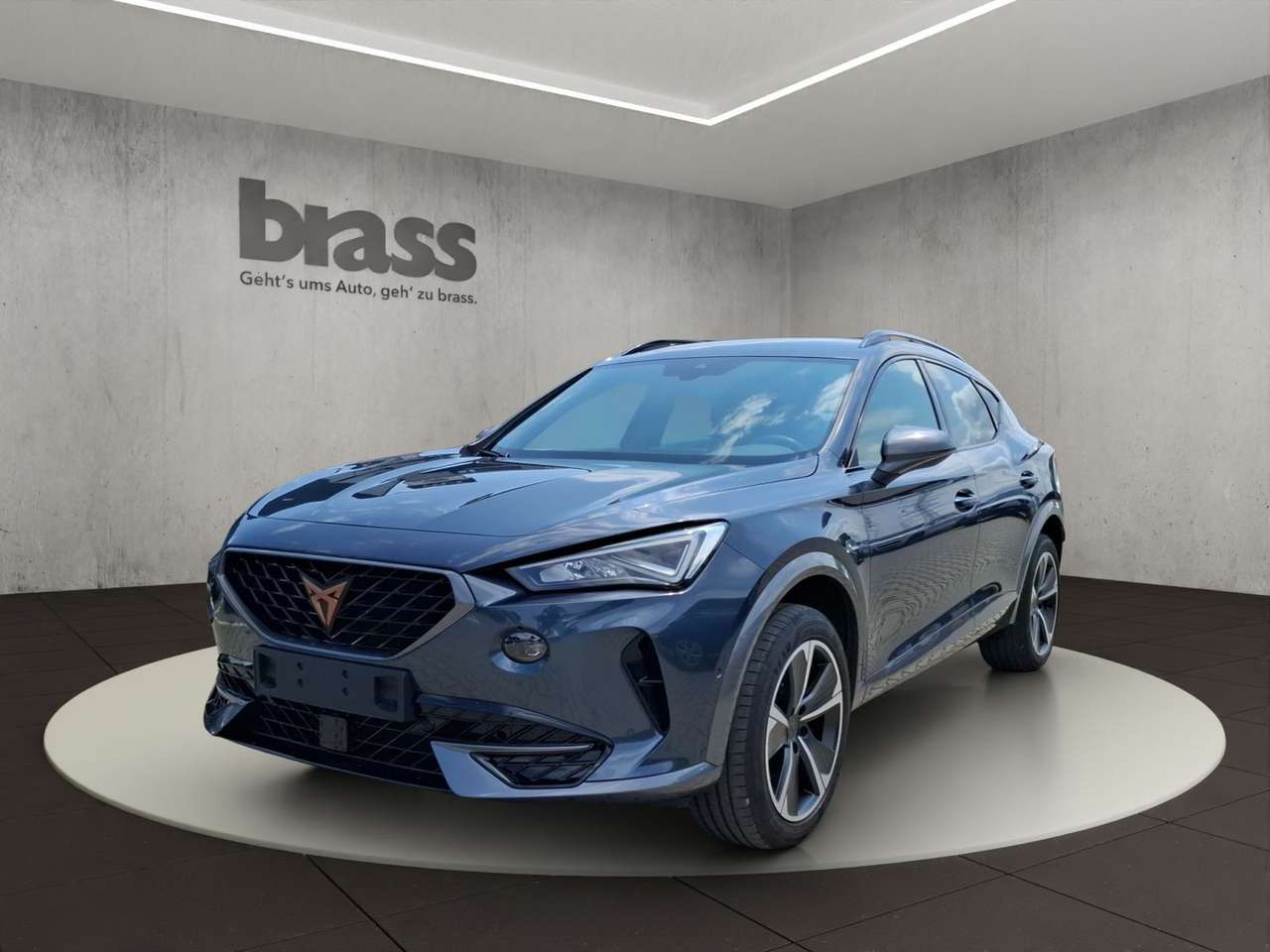 Cupra Formentor 2023 — 1.5 TSI Beats, Full Link, Sitzheizung,