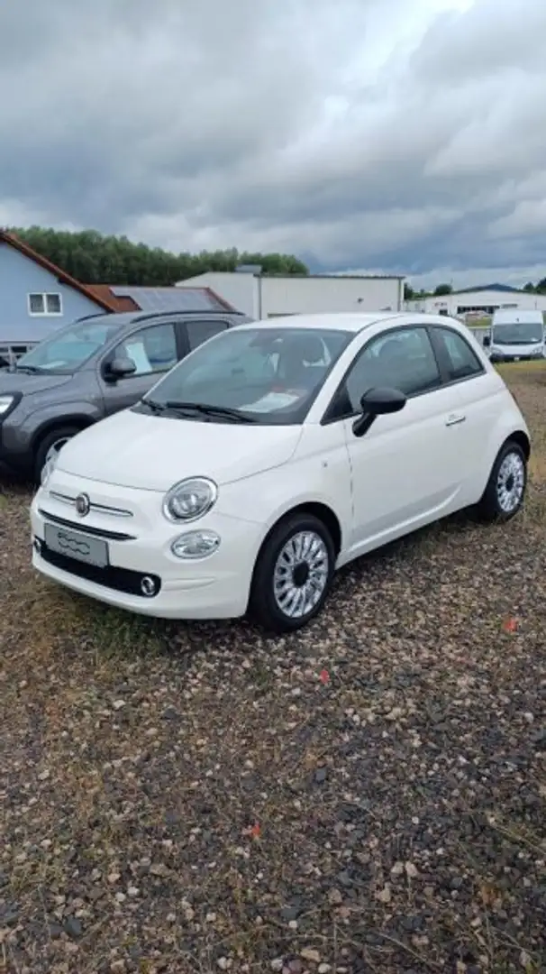 Fiat 500 Basis Blanc - 2