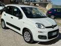 Fiat Panda 1.3 mjt 16v Easy 75cv Blue&me(ok neopatentati) Bianco - thumbnail 1