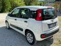 Fiat Panda 1.3 mjt 16v Easy 75cv Blue&me(ok neopatentati) Bianco - thumbnail 5
