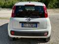 Fiat Panda 1.3 mjt 16v Easy 75cv Blue&me(ok neopatentati) Bianco - thumbnail 4