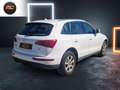 Audi Q5 2.0TDI quattro DPF Blanco - thumbnail 6