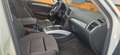 Audi Q5 2.0TDI quattro DPF Blanco - thumbnail 16