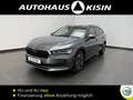 Skoda Superb Combi 1.5 TSI mHEV Selection  DSG/CAM /LED/NAVI Grau - thumbnail 1