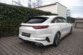 Kia ProCeed / pro_cee'd ProCeed GT AHK+KOMFORT-PAKET+PANORAMA+NAVI-PAKET Weiß - thumbnail 5