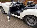 Triumph TR3 Smallmouth, 1957 Alb - thumbnail 11