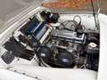 Triumph TR3 Smallmouth, 1957 Weiß - thumbnail 18
