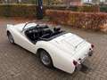 Triumph TR3 Smallmouth, 1957 Alb - thumbnail 10
