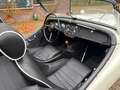 Triumph TR3 Smallmouth, 1957 Alb - thumbnail 15