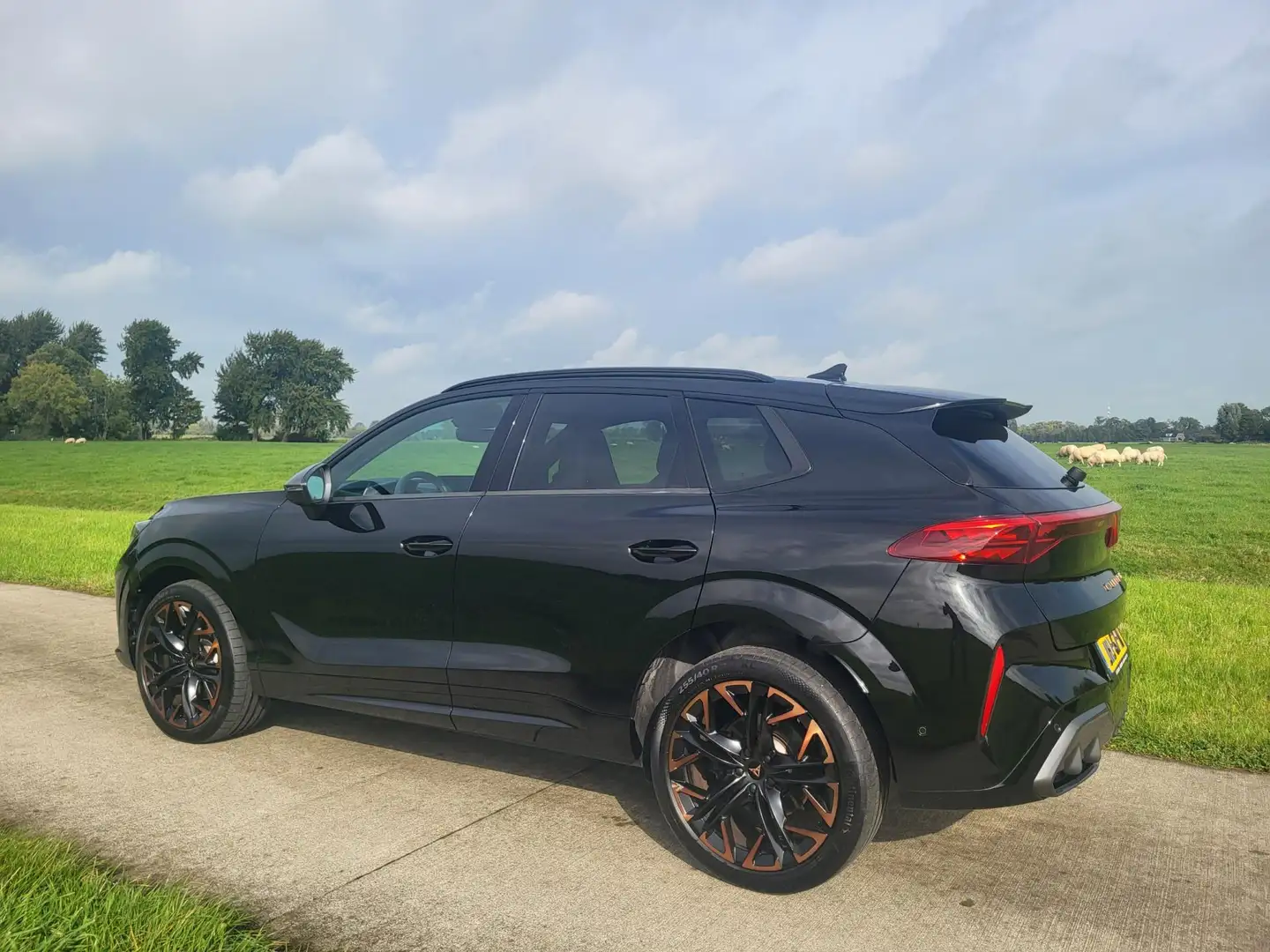 CUPRA Terramar 2.0 TSI 265pk 4x4 SUV dec2024 15.253km Noir - 2