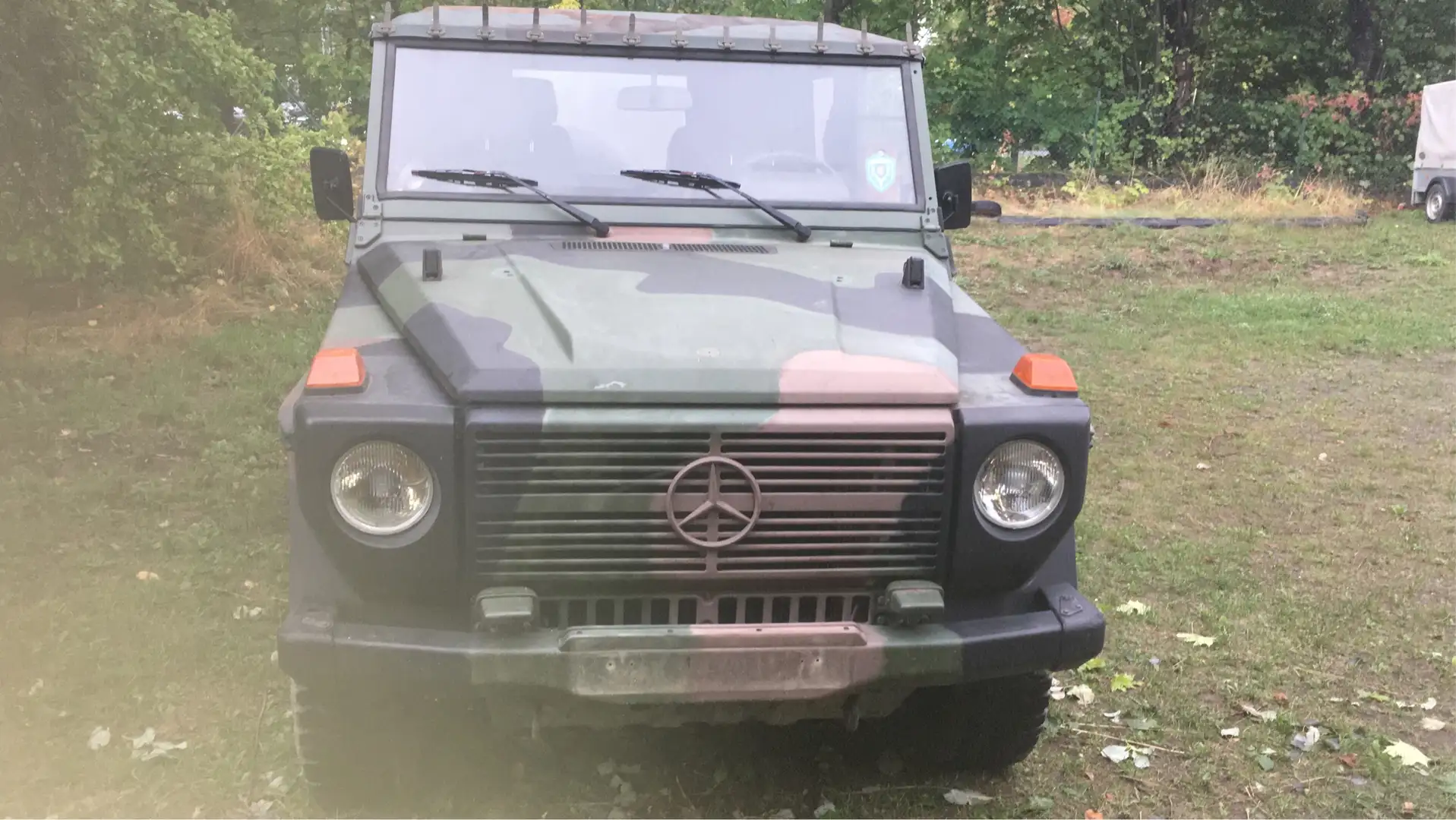 Mercedes-Benz G 250 Wolf Grün - 1