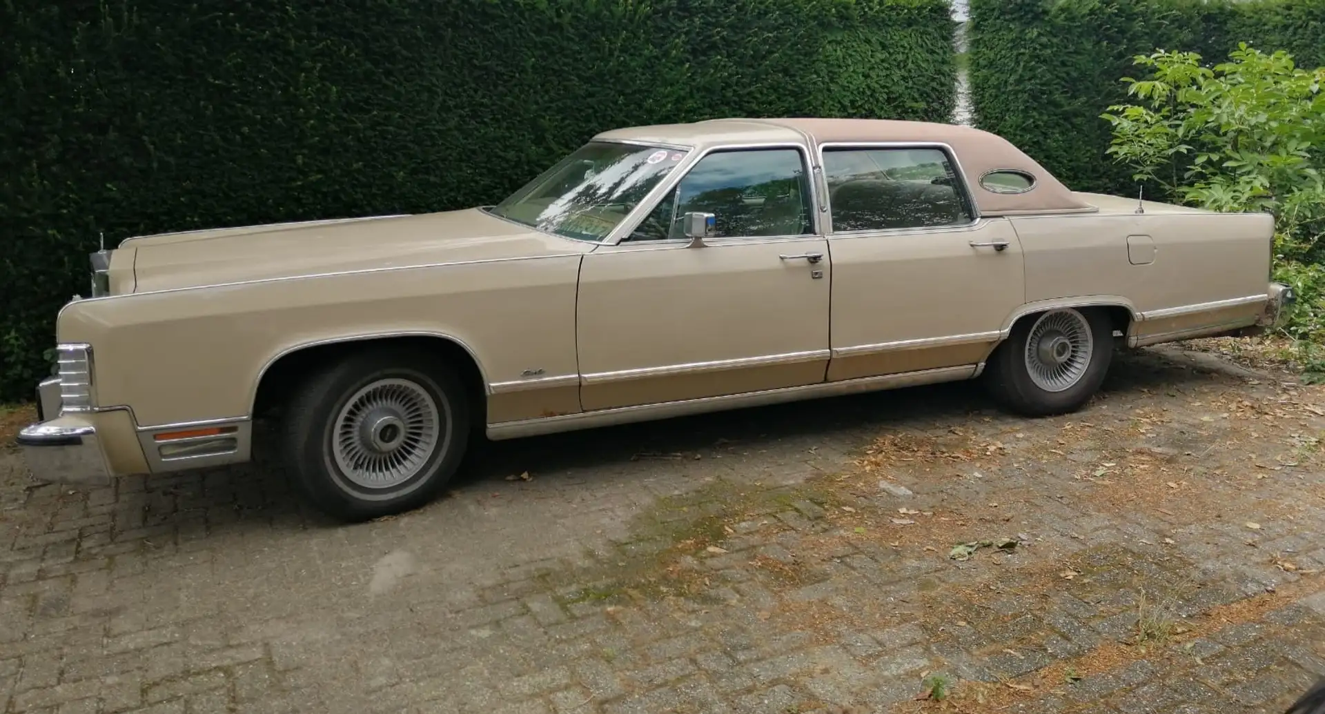 Lincoln Town Car Beige - 2