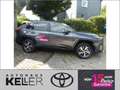Toyota RAV 4 Plug-in-Hybrid Teamplayer Grau - thumbnail 3