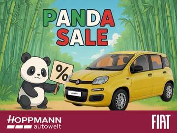 ICON 1.0 GSE Hybrid 51 kW (70 PS)