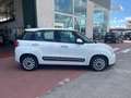 Fiat 500L 500L 1.3 Multijet 85 CV Bianco - thumbnail 8