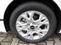 Kia Ceed SW / cee'd SW Vision 2024 1.6D 48V DCT7 Komfort-Plus-Paket uvm. Weiß - thumbnail 5
