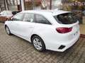 Kia Ceed SW / cee'd SW Vision 2024 1.6D 48V DCT7 Komfort-Plus-Paket uvm. Weiß - thumbnail 2