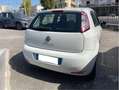 Fiat Punto 5p 1.3 mjt II 16v Sport s&s 95cv Bianco - thumbnail 4