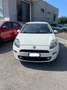 Fiat Punto 5p 1.3 mjt II 16v Sport s&s 95cv Bianco - thumbnail 1