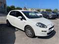 Fiat Punto 5p 1.3 mjt II 16v Sport s&s 95cv Bianco - thumbnail 2