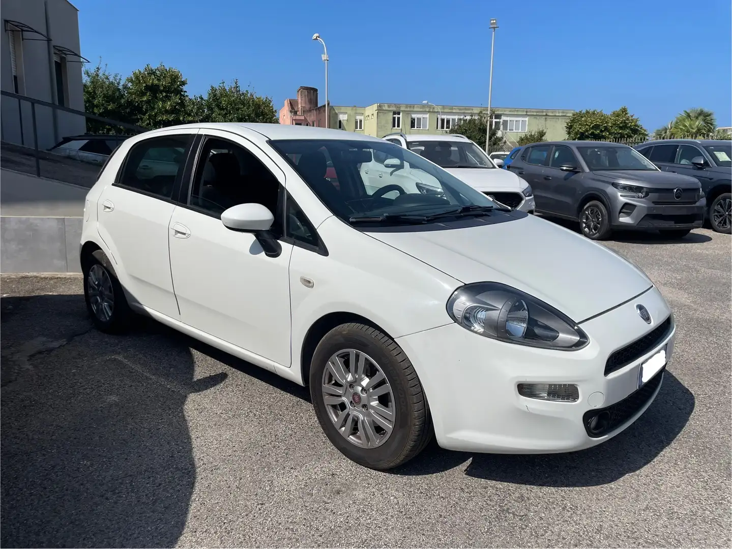 Fiat Punto 5p 1.3 mjt II 16v Sport s&s 95cv Bianco - 2