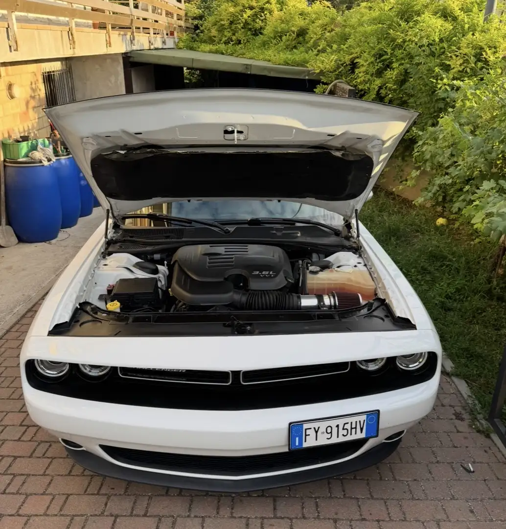 Dodge Challenger Bianco - 2