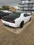Dodge Challenger Bianco - thumbnail 6
