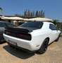 Dodge Challenger Bianco - thumbnail 4