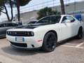 Dodge Challenger Bianco - thumbnail 3