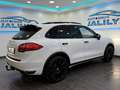 Porsche Cayenne II 4,1 Diesel Aut.PANO, ANROID, AHK,BOSE, MEGA ... Weiß - thumbnail 11